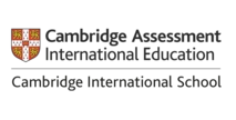 Level Up International Academy